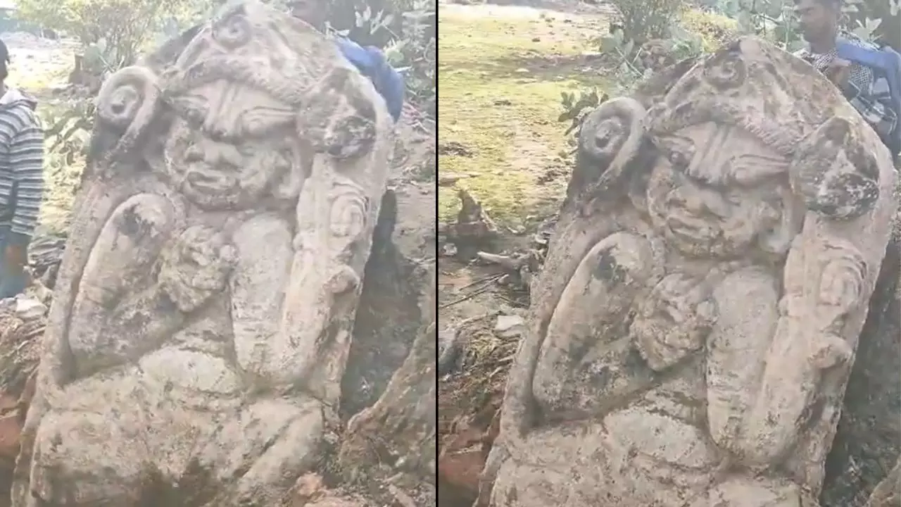 300 साल पुराने सूखे पेड़ के तने से निकले हनुमान जी, 4 फीट की मूर्ति देख लोग हैरान