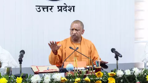 जिस को काम पर रख रहे हैं वो रोहिंग्या तो नहीं, पहले ही कर ले चेक; सीएम योगी की खास अपील जिस को काम पर रख रहे हैं वो रोहिंग्या तो नहीं, पहले ही कर ले चेक; सीएम योगी की खास अपील