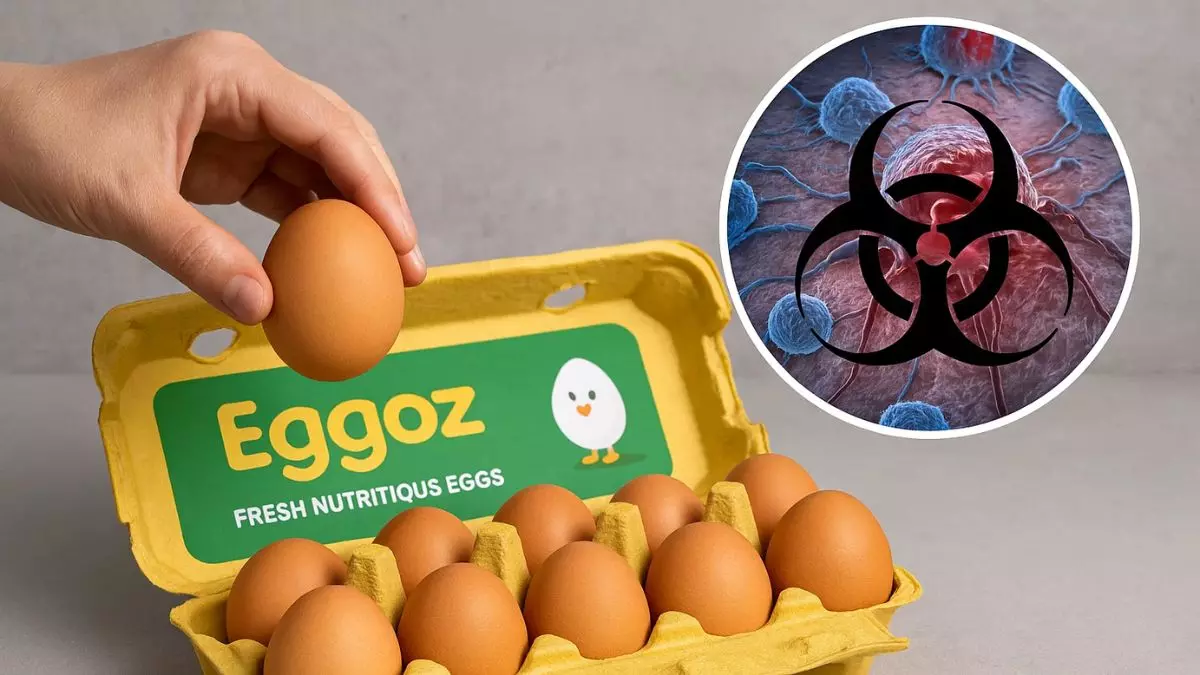 क्या Eggoz के अंडों से कैंसर हो सकता है? Trustified की रिपोर्ट से मचा बवाल, कंपनी ने लैब रिपोर्ट जारी कर दी सफाई