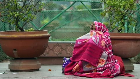 दिल्ली में ठंड के साथ प्रदूषण का डबल अटैक, पंजाब-हरियाणा में शीतलहर बरकरार; IMD की चेतावनी- अगले 7 दिन तक राहत नहीं दिल्ली में ठंड के साथ प्रदूषण का डबल अटैक, पंजाब-हरियाणा में शीतलहर बरकरार; IMD की चेतावनी- अगले 7 दिन तक राहत नहीं