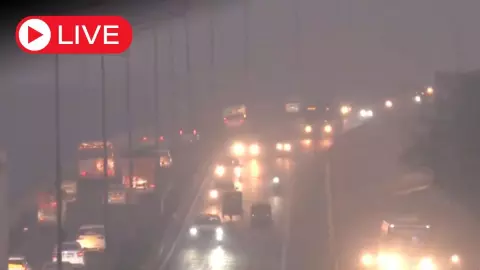 Aaj Ki Taza Khabar: दिल्ली में घना कोहरा और कोल्ड वेव का अलर्ट, कई इलाकों में AQI 300 के पार Aaj Ki Taza Khabar: दिल्ली में घना कोहरा और कोल्ड वेव का अलर्ट, कई इलाकों में AQI 300 के पार