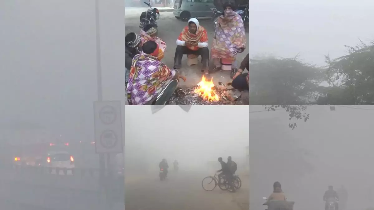 उत्तर भारत में कड़ाके की ठंड, कोहरे ने थामी वाहनों की रफ्तार: गायब हुआ ताजमहल, देखें 12 वीडियो