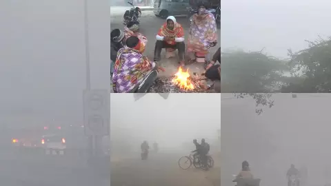 उत्तर भारत में कड़ाके की ठंड, कोहरे ने थामी वाहनों की रफ्तार: गायब हुआ ताजमहल, देखें 12 वीडियो उत्तर भारत में कड़ाके की ठंड, कोहरे ने थामी वाहनों की रफ्तार: गायब हुआ ताजमहल, देखें 12 वीडियो
