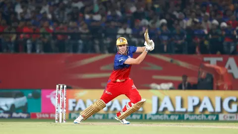 मॉक ऑक्शन में कैमरून ग्रीन ने तोड़े आईपीएल के सारे रिकॉर्ड, 30.5 करोड़ रुपये की लगी बोली; जानें क्या है पूरा माजरा मॉक ऑक्शन में कैमरून ग्रीन ने तोड़े आईपीएल के सारे रिकॉर्ड, 30.5 करोड़ रुपये की लगी बोली; जानें क्या है पूरा माजरा