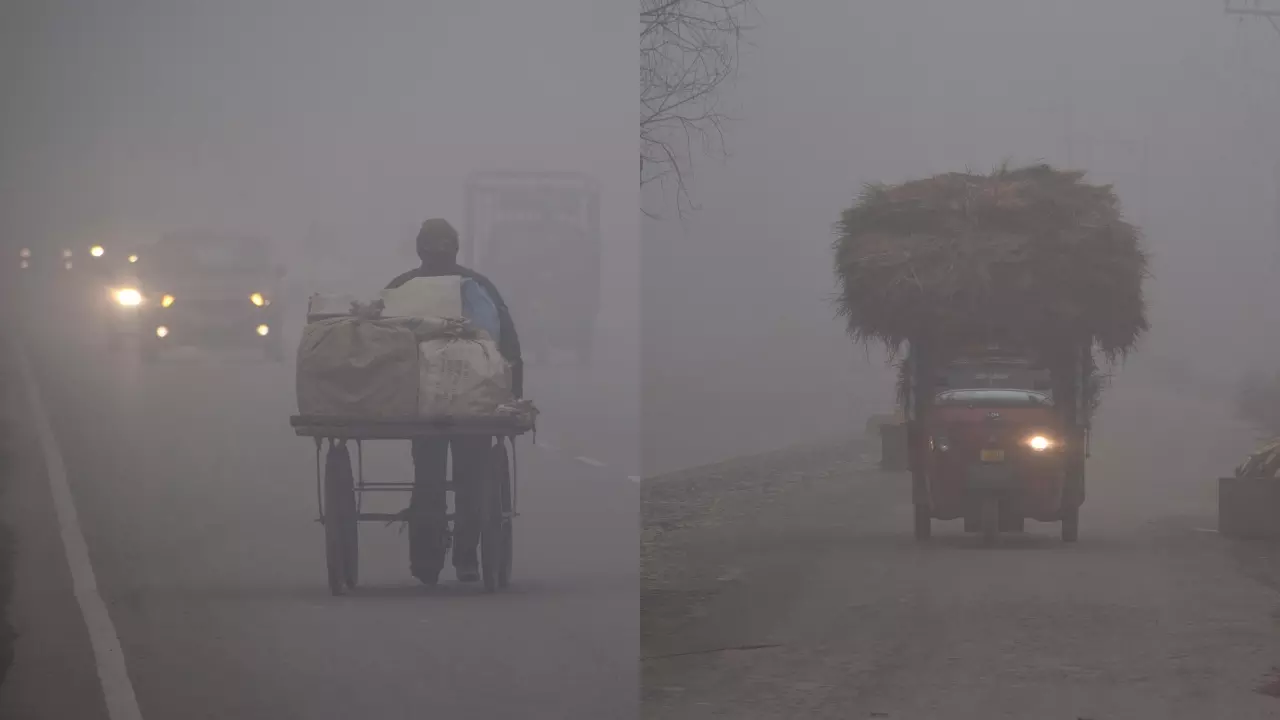 North India: घने कोहरे के बीच सड़क चलती है मौत! एक्सपर्ट का सुझाव, न करें 15 गलतियां, वरना…
