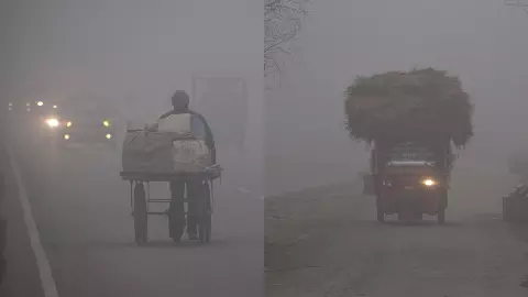 North India: घने कोहरे के बीच सड़क चलती है मौत! एक्सपर्ट का सुझाव, न करें 15 गलतियां, वरना… North India: घने कोहरे के बीच सड़क चलती है मौत! एक्सपर्ट का सुझाव, न करें 15 गलतियां, वरना…