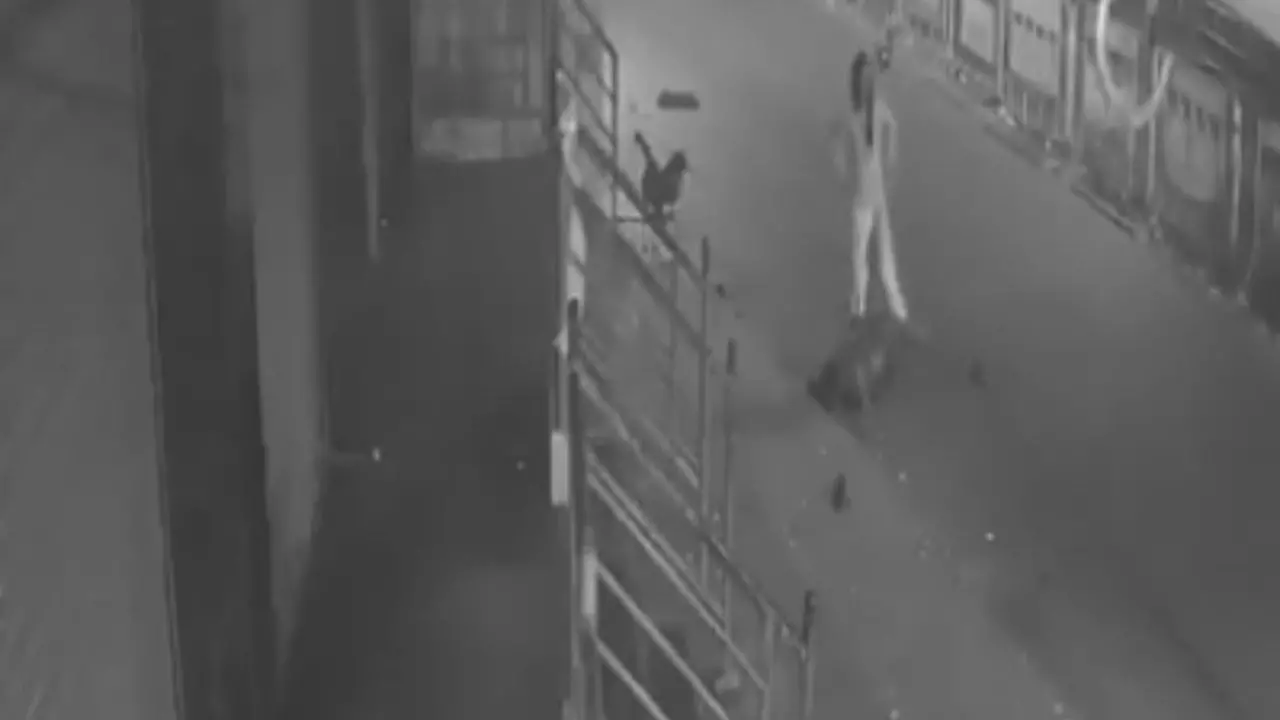 एक रात, तीन नाकामियां और एक मौत: हाथ जोड़कर मदद मांगती रही पत्नी, तड़पता रहा पति- और सब देखते रहे