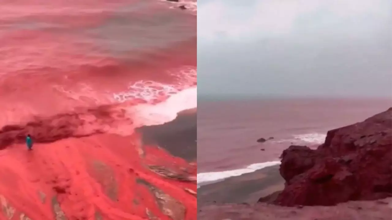 खून जैसा लाल हुआ समंदर! होर्मुज द्वीप पर दिखा प्रकृति का अनोखा नजारा, कैसे बदला रंग? देखें VIRAL वीडियो