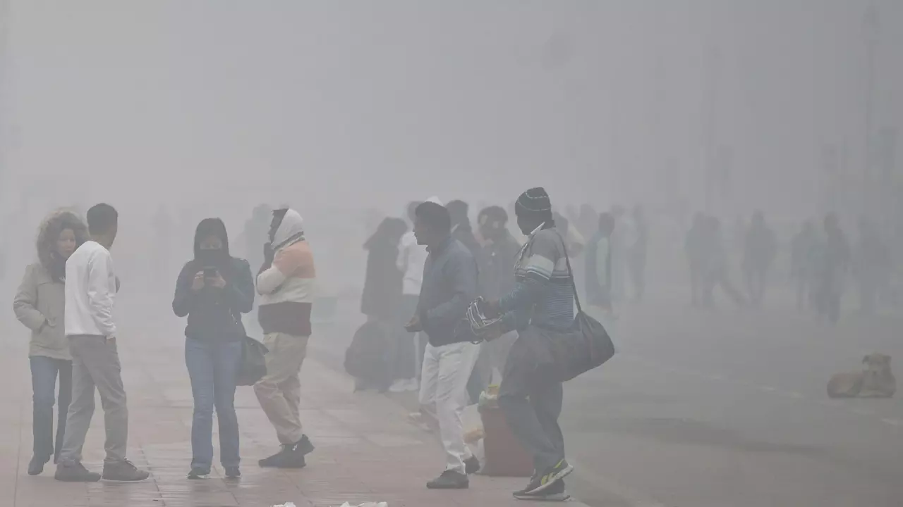 सर्द हवाओं से दिल्ली-एनसीआर को ठिठुराया, 25 दिसंबर तक छाएगा घना कोहरा; हरियाणा में हो सकती है बारिश