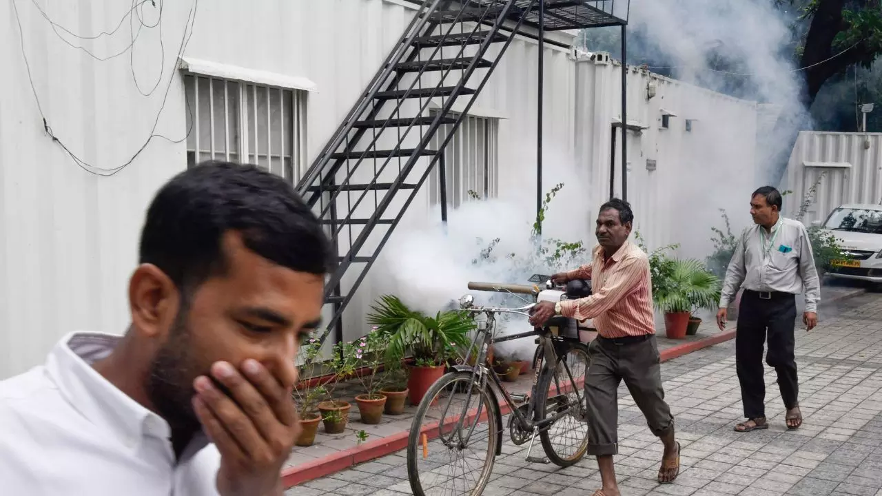 दिल्ली में डेंगू ने फिर से मचाया आतंक, कुल 650 मामले आए सामने, 1 ने तोड़ा दम