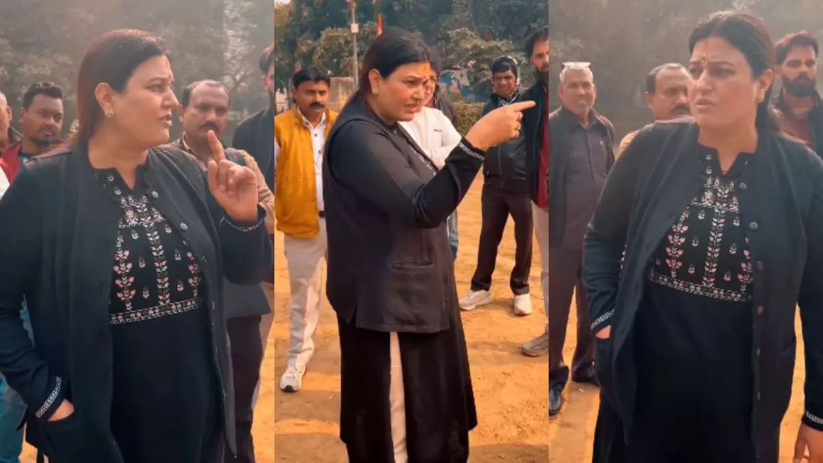 अगर इसने एक महीने में हिंदी नहीं सीखी तो...  अफ्रीकी नागरिक को पार्क में धमकी देने वालीं रीनू चौधरी कौन? वीडियो जमकर हो रहा वायरल