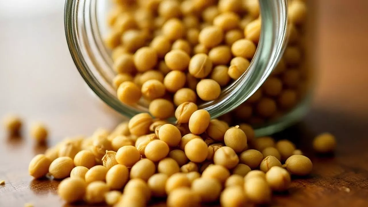 राजस्थान में अनाज व्यापारी से लाखों की धोखाधड़ी, बना दी नकली सरसों, जांच में निकले मिट्टी- सीमेंट