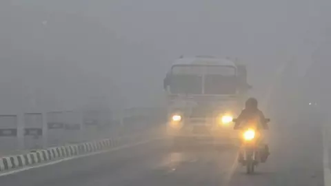 दिल्ली से लेकर बिहार तक शीतलहर का कहर, अगले 24 घंटे बेहद ठंडे; कोल्ड डे का अलर्ट जारी