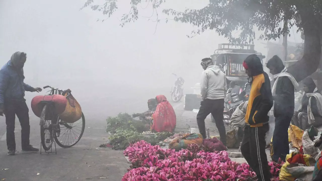 दिल्ली-एनसीआर में पड़ रही कड़ाके की ठंड, हरियाणा-राजस्थान में शीतलहर का कहर; 5-8 डिग्री तक गिरा न्यूनतम तापमान