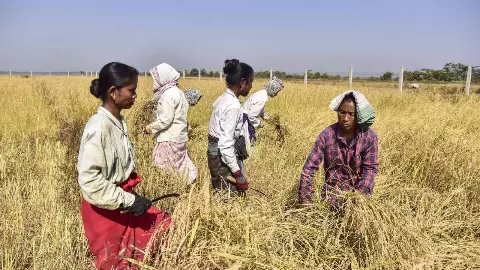 मनरेगा से नहीं हुआ गरीबों का भला, SBI रिसर्च ने VB-G RAM G को बताया गेमचेंजर, जानें कैसे