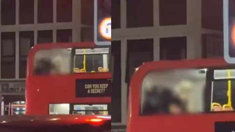 अब पेश है लंदन का धाकड़! बस में अश्लील हरकत करते हुए Video Viral, यूजर्स बोले- कोई ऐसी जगह बची नहीं जहां...