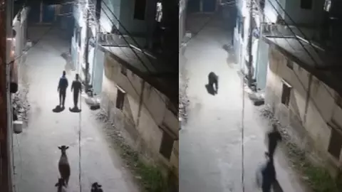 ऋषिकेश में भालू की दहशत, लोगों को गलियों में दौड़ाया; CCTV में कैद हुई पूरी घटना ऋषिकेश में भालू की दहशत, लोगों को गलियों में दौड़ाया; CCTV में कैद हुई पूरी घटना