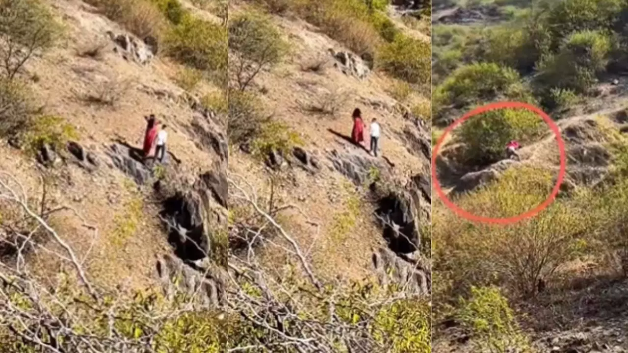 इनके लिए अरावली बचाई है...पहाड़ियों में अश्लील हरकत करते कपल का वीडियो हुआ वायरल, भड़के लोग