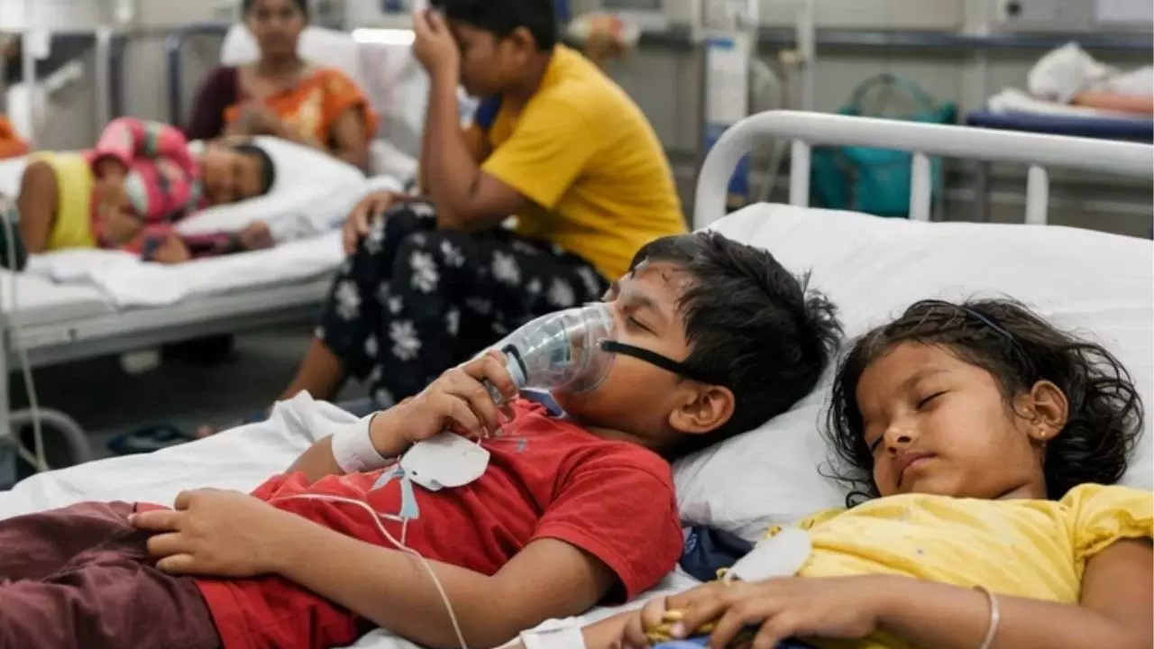 वॉशनट में ज़हर! असम में सोपबेरी खाने से 13 बच्चे अस्पताल में भर्ती, 3 की हालत गंभीर