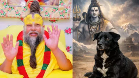 क्या भगवान शिव की पूजा करने वालों का अगला जन्म कुत्ते का होता है? प्रेमानंद महाराज ने बताई सच्चाई