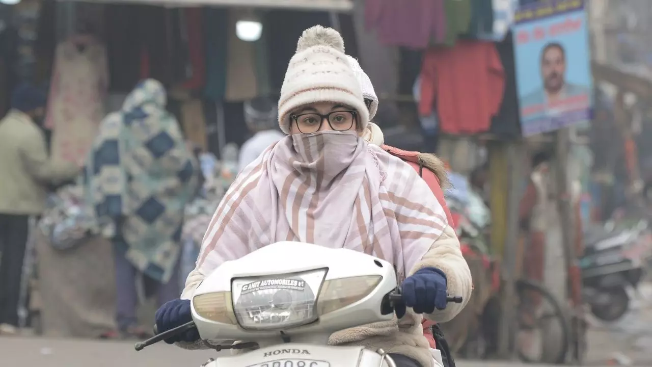 बाप रे बाप इतनी ठंड! दिल्ली-एनसीआर, पंजाब समेत 7 राज्यों में Cold Wave Alert, मैदान बने पहाड़ों से ज्यादा सर्द