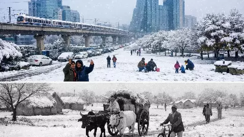 गुरुग्राम में बर्फबारी का दावा फेक! जानिए IMD की राय, क्या कहता है Gurugram में बर्फ गिरने का 56 साल का इतिहास