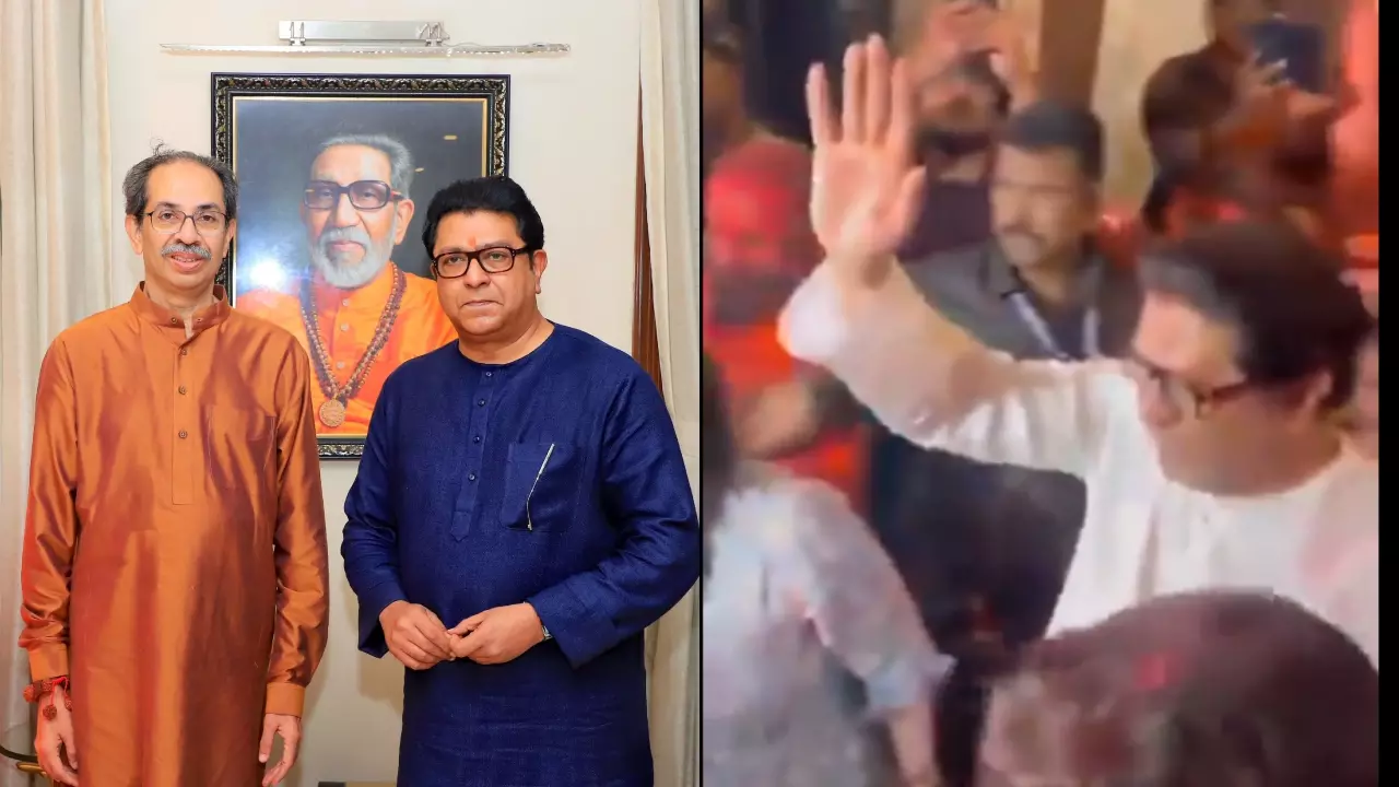 Video: उद्धव की हार के बाद राज ठाकरे का जश्न! वायरल वीडियो ने खड़े किए सवाल, यूजर्स बोले - निर्लज्‍ज लोग कर रहे लुंगी डांस