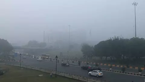 ठंड से कांपा उत्तर भारत, ट्रेन-फ्लाइट प्रभावित, जानिए आगे कैसा रहेगा मौसम