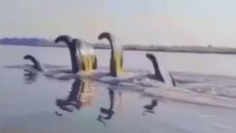 AI जनरेटेड है यमुना नदी का कालिया नाग! Fact Check ने खोली पोल; भड़के वृंदावनवासियों ने कहा- धर्म का मजाक बनाना छोड़ दो