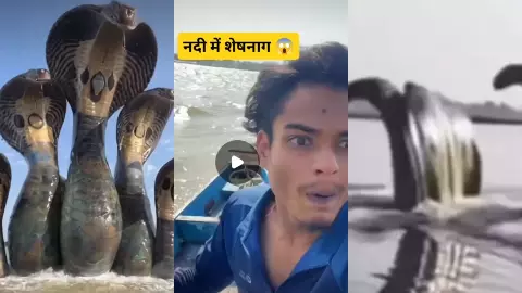 यमुना नदी में ‘कालिया नाग’ के बाद दिखाई दिया ‘शेषनाग’? सोशल मीडिया पर मचा हड़कंप, देखिए पांच हैरान कर देने वाले वीडियो
