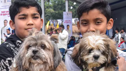 शिक्षा सुधार या सरकारी मजाक! टीचर्स को मिला नया टास्क, कुत्तों की संख्या बताओ मास्टर साहब? फैसले पर सवाल शिक्षा सुधार या सरकारी मजाक! टीचर्स को मिला नया टास्क, कुत्तों की संख्या बताओ मास्टर साहब? फैसले पर सवाल