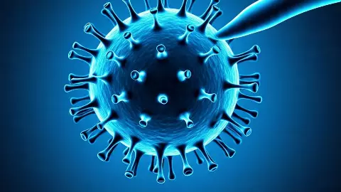 भारत में Nipah Virus फैलने का कितना है खतरा? WHO ने दिया अपडेट, जानें बीमारी के बारे में सब कुछ