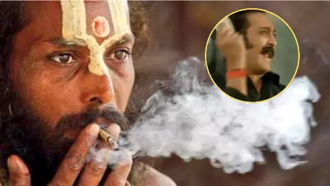 Budget 2026 beedi cheaper memes