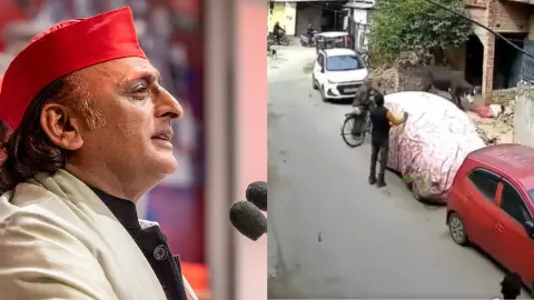 ‘बुल और बुलडोजर का इलाज जनता करेगी’, अखिलेश के बयान पर यूजर ने याद दिलाया SP सरकार में सांड स्कूल जाते थे ‘बुल और बुलडोजर का इलाज जनता करेगी’, अखिलेश के बयान पर यूजर ने याद दिलाया SP सरकार में सांड स्कूल जाते थे