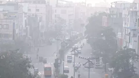 north india weather update delhi fog up bihar rain hail alert