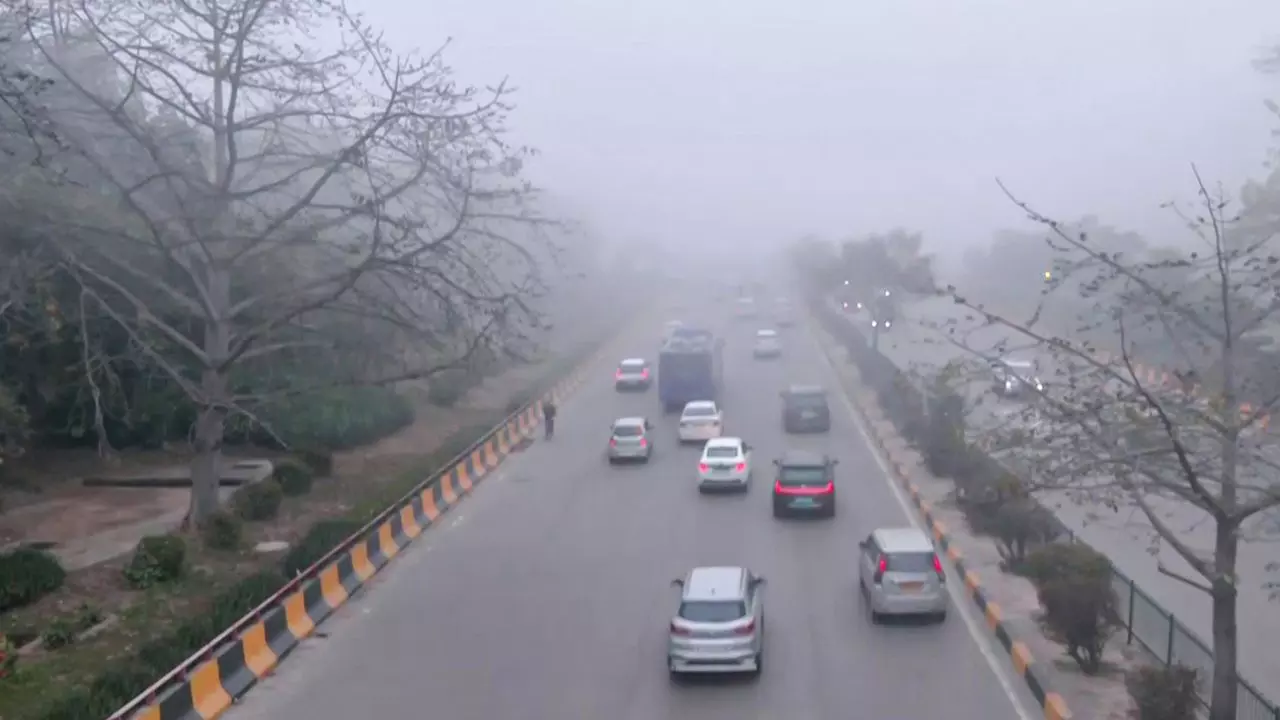 imd weather update north india fog delhi up rajasthan tamilnadu