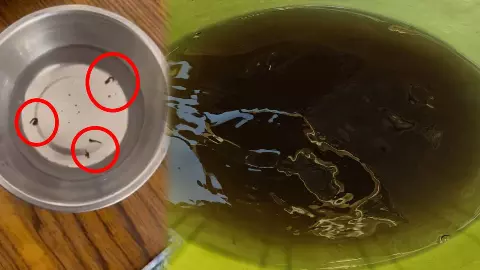 करोड़ों के फ्लैट, लेकिन पानी ज़हरीला, Noida में न हो जाए Indore जैसा हाल!