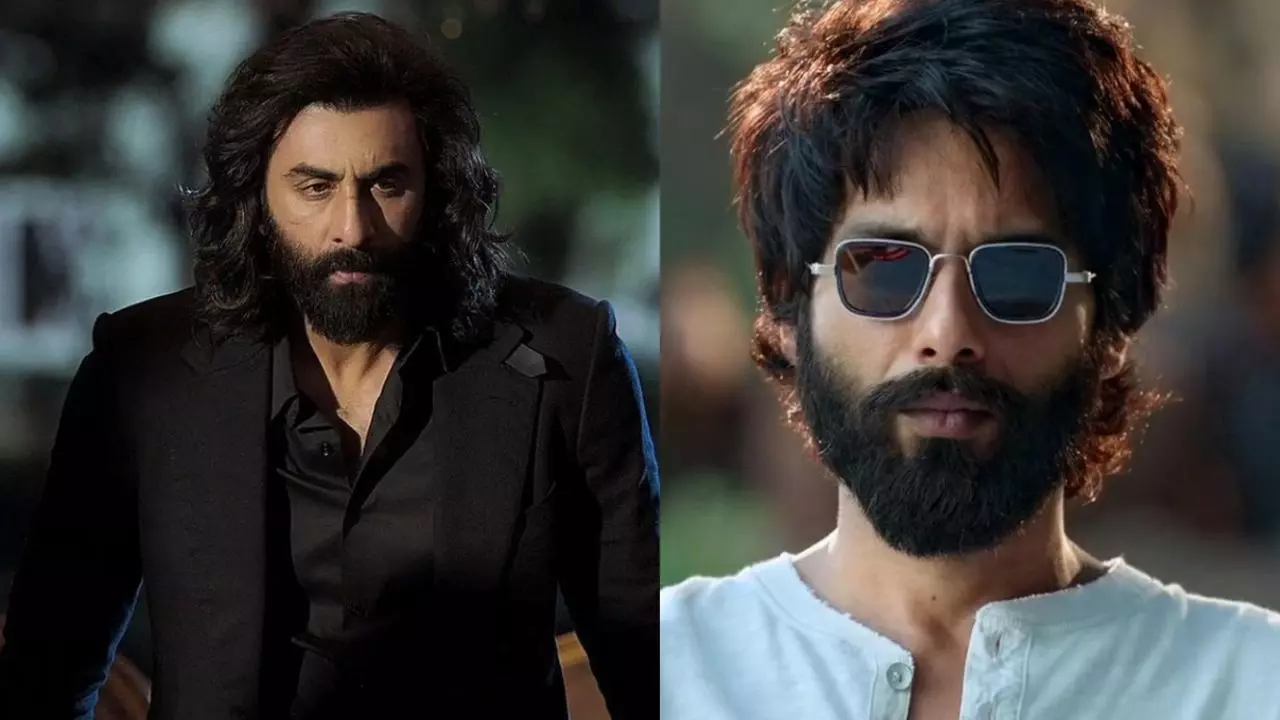 kabir singh animal crossover shahid kapoor interview