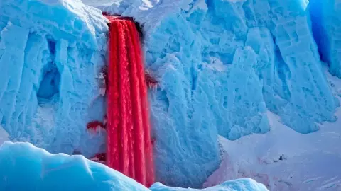 अंटार्कटिका में ‘खून’ की नदी? जानिए  Blood Falls का वैज्ञानिक रहस्य जिसने दुनिया को चौंकाया- देखिए VIDEO