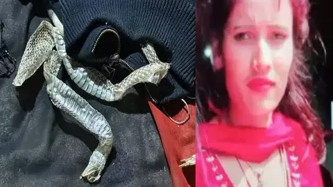 बिस्‍तर पर सांप की केंचुली छोड़ गायब हो गई लड़की, नागिन होने का मचा हल्‍ला, पुलिस ने सामने लाया पूरा सच