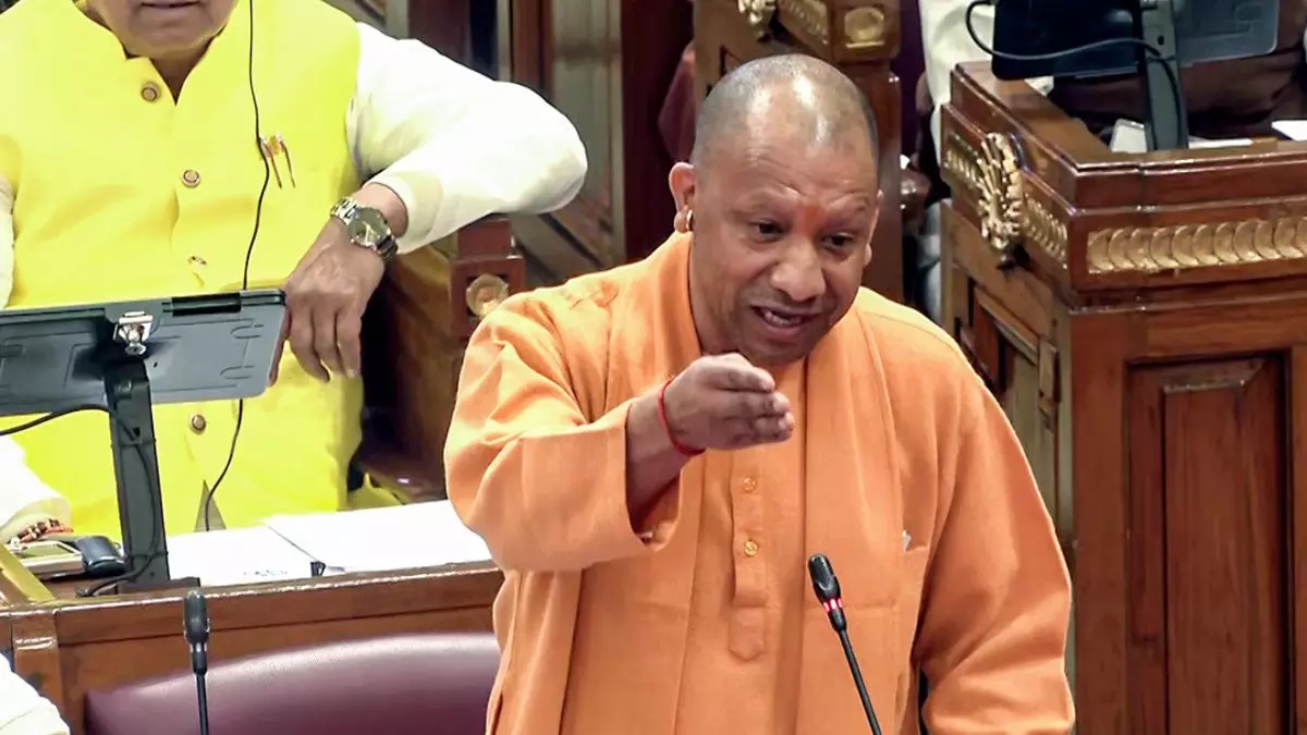 cm yogi in up assembly photo