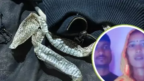 लापता इच्छाधारी नागिन का हुआ कमबैक! प्रेमी के साथ आया वीडियो- यूजर्स बोले- नागिन तो नाग के संपर्क में