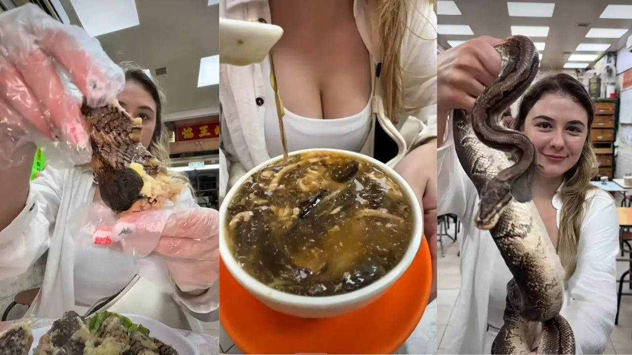 cobra soup china hong kong cobra queen snake soup video