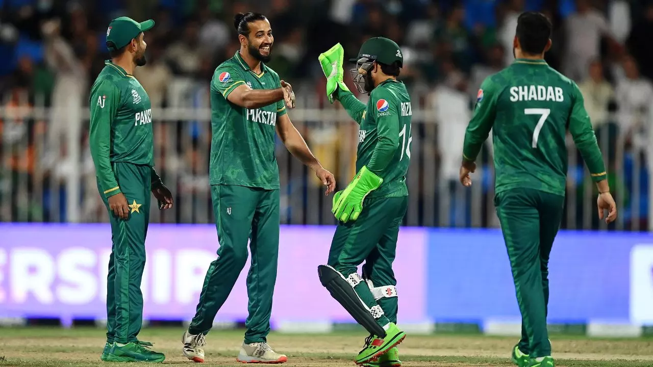 Imad Wasim ex-wife Sannia Ashfaq allegations