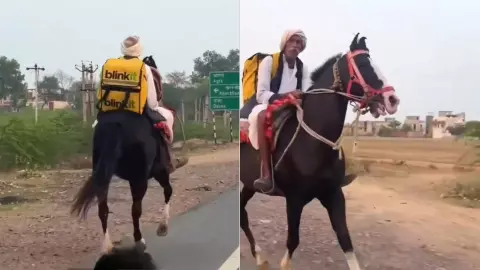 horse delivery Rajasthan viral video horse delivery Rajasthan viral video