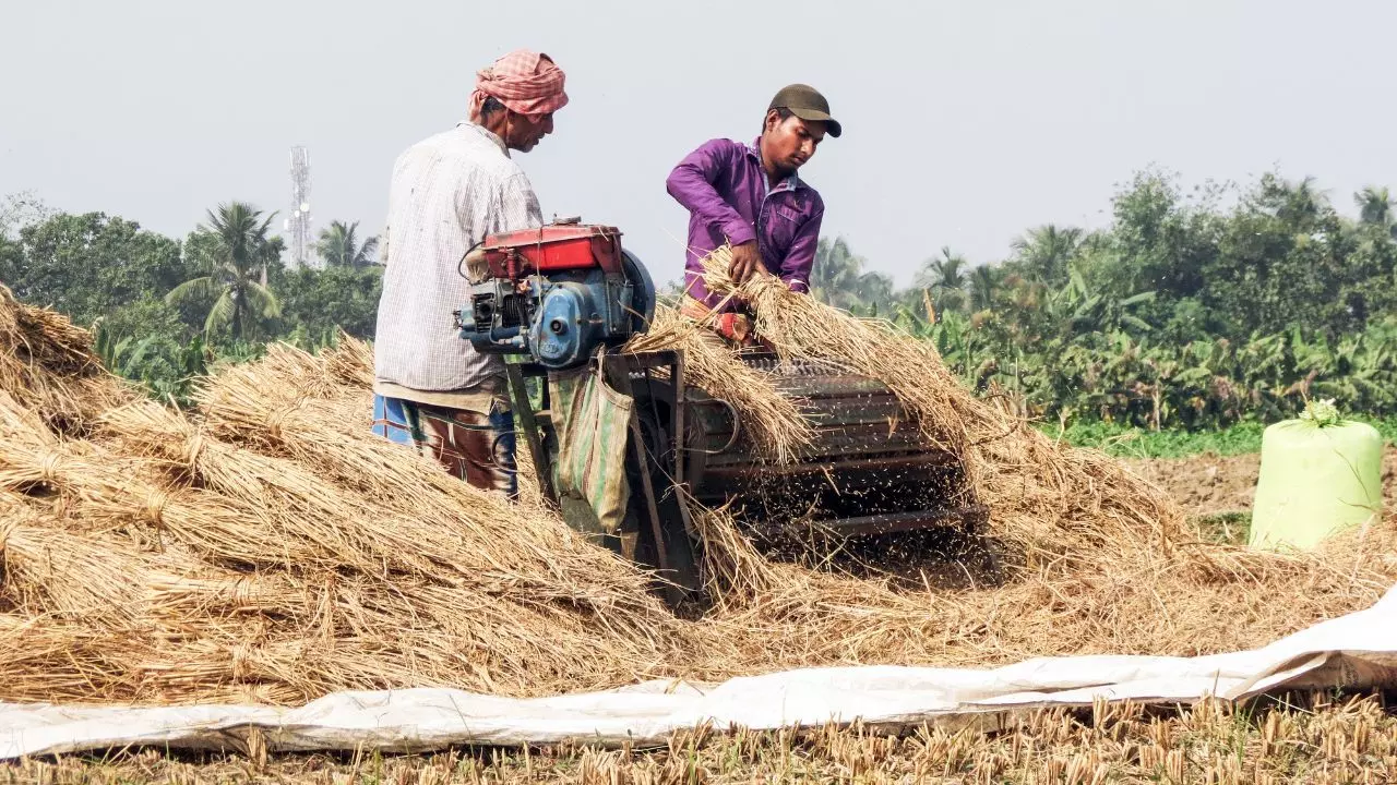 pm kisan 22nd installment stopped verification reason