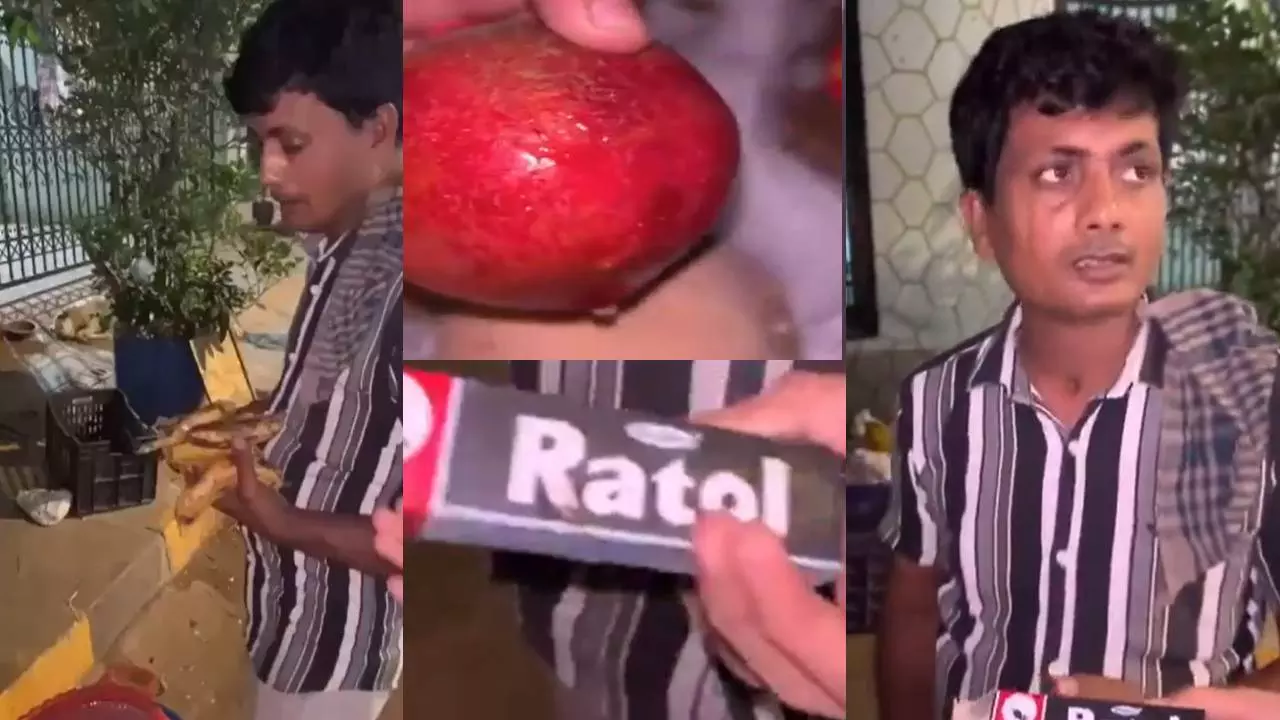 न जिहादी और न ही नॉर्थ इंडियन, कौन हैं फलों पर चूहे का जहर लगाने वाले फ्रूट सेलर? मकसद जानकर पकड़ लेंगे माथा!