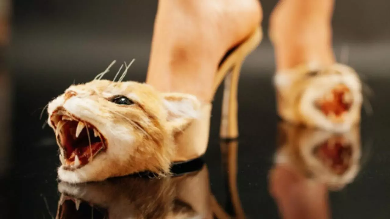 Cat Head Heels