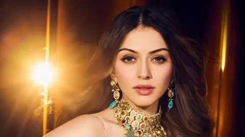 hansika motwani sohail kathuria divorce chardi kala instagram post