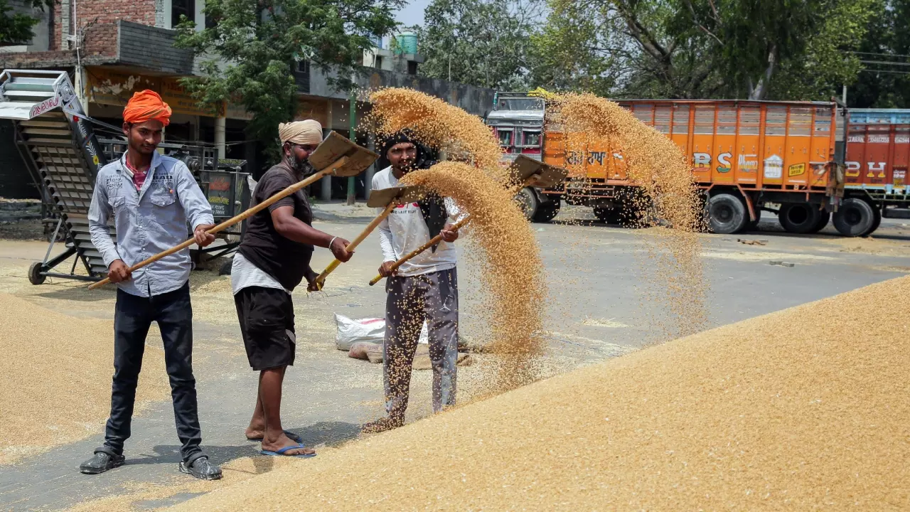 मिडिल ईस्ट वार ने बदला खेल: अब पोर्ट नहीं, बॉर्डर से बिक रहा गेहूं, सबसे ज्यादा फायदे में किस राज्य के किसान?